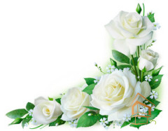 Натяжной потолок с фотопечатью Цветы 094