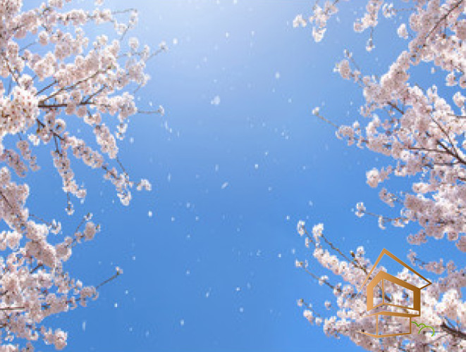 Натяжной потолок с фотопечатью Небо и объекты 125 -  - 