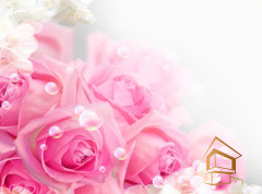 Натяжной потолок с фотопечатью Цветы 095