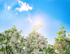 Натяжной потолок с фотопечатью Небо и объекты 126