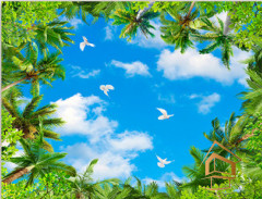 Натяжной потолок с фотопечатью Небо и объекты 009