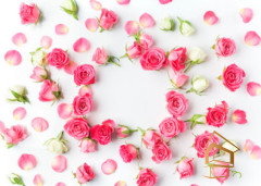 Натяжной потолок с фотопечатью Цветы 097