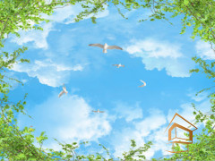 Натяжной потолок с фотопечатью Небо и объекты 128