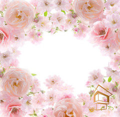 Натяжной потолок с фотопечатью Цветы 198