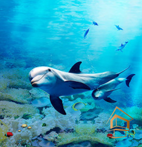 Натяжной потолок с фотопечатью Подводный мир 013 -  - 