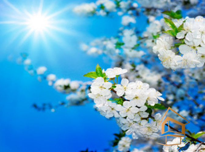 Натяжной потолок с фотопечатью Небо и объекты 129 - -