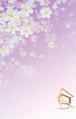 Натяжной потолок с фотопечатью Цветы 199