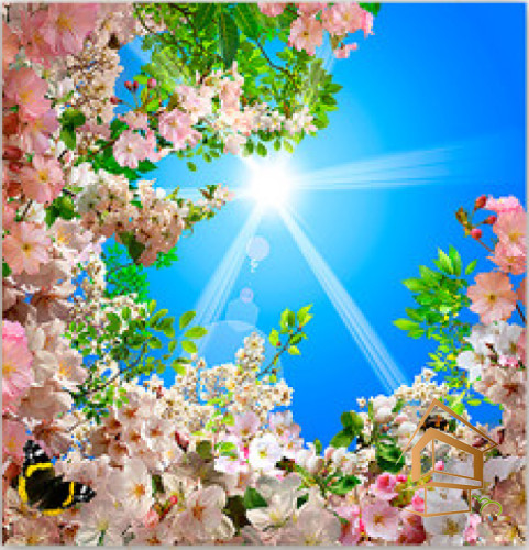 Натяжной потолок с фотопечатью Небо и объекты 012 -  - 