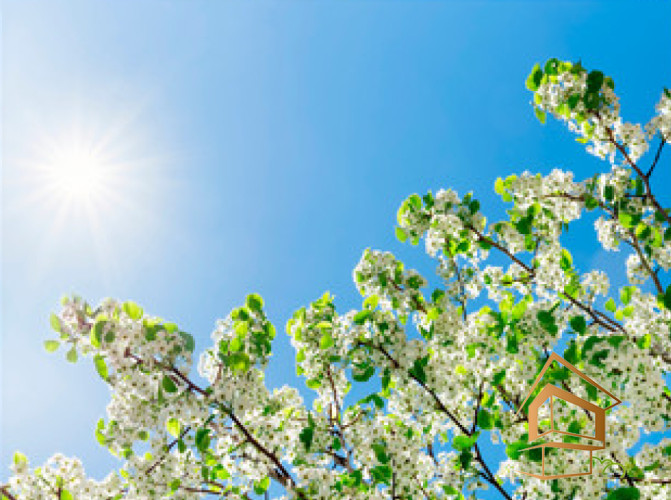 Натяжной потолок с фотопечатью Небо и объекты 130 - -