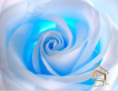 Натяжной потолок с фотопечатью Цветы 100