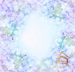 Натяжной потолок с фотопечатью Цветы 200