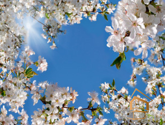 Натяжной потолок с фотопечатью Небо и объекты 131 - -