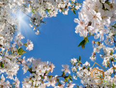 Натяжной потолок с фотопечатью Небо и объекты 131