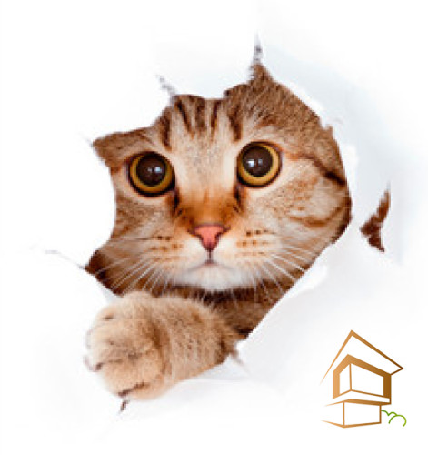 Натяжной потолок с фотопечатью Животный мир 004 -  - 