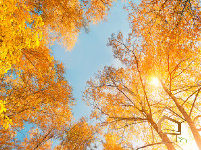 Натяжной потолок с фотопечатью Небо и объекты 132 - -