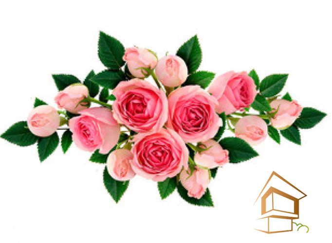 Натяжной потолок с фотопечатью Цветы 102 - -