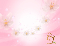 Натяжной потолок с фотопечатью Цветы 312