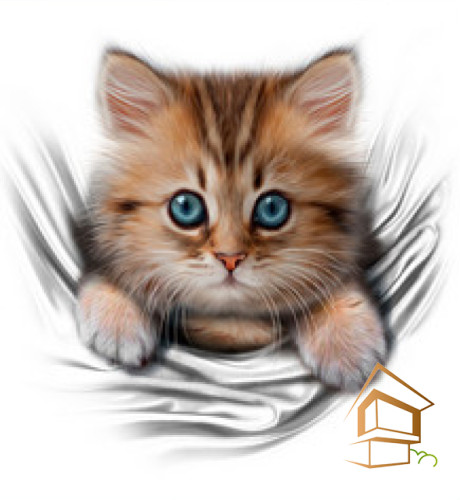 Натяжной потолок с фотопечатью Животный мир 005 -  - 