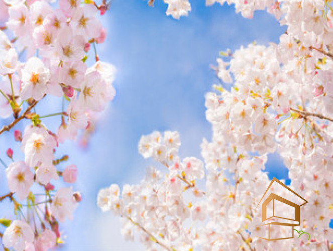 Натяжной потолок с фотопечатью Небо и объекты 133 -  - 