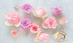 Натяжной потолок с фотопечатью Цветы 103