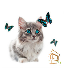 Натяжной потолок с фотопечатью Животный мир 006