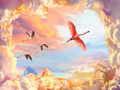 Натяжной потолок с фотопечатью Небо и объекты 016