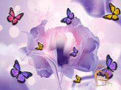 Натяжной потолок с фотопечатью Бабочки 081