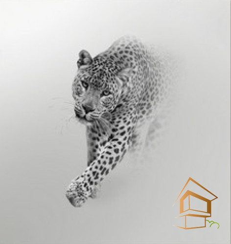 Натяжной потолок с фотопечатью Животный мир 007 - -