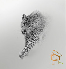 Натяжной потолок с фотопечатью Животный мир 007