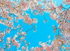 Натяжной потолок с фотопечатью Небо и объекты 135