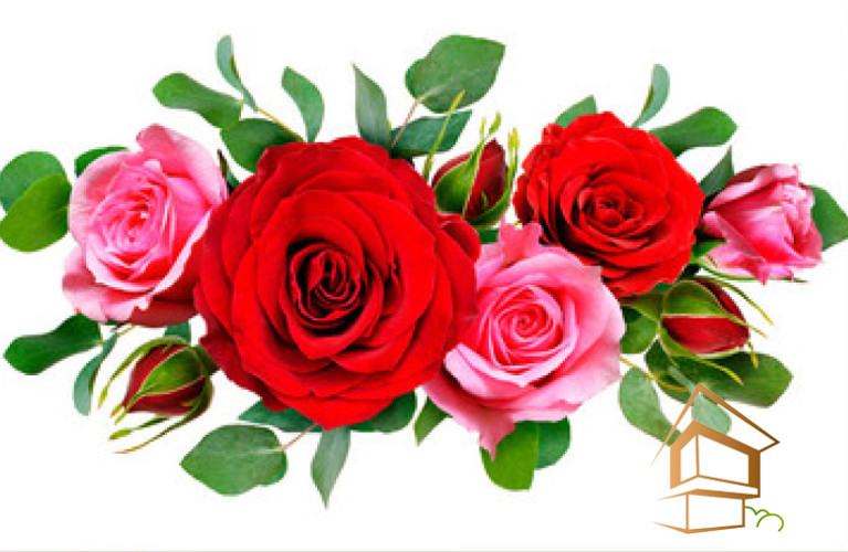 Натяжной потолок с фотопечатью Цветы 105 - -