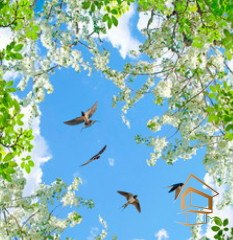 Натяжной потолок с фотопечатью Небо и объекты 036