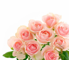 Натяжной потолок с фотопечатью Цветы 106