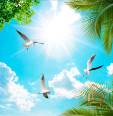 Натяжной потолок с фотопечатью Небо и объекты 037