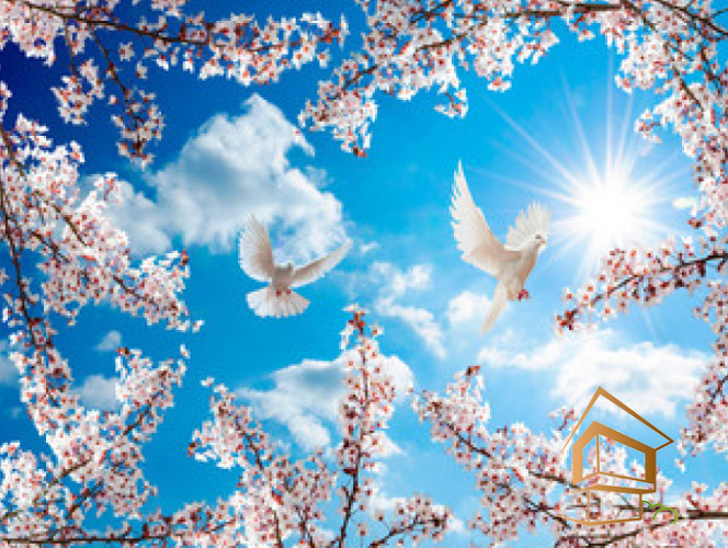 Натяжной потолок с фотопечатью Небо и объекты 137 - -