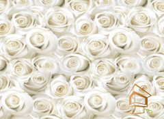 Натяжной потолок с фотопечатью Цветы 107