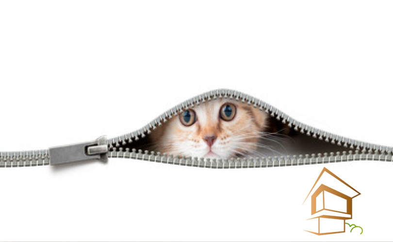 Натяжной потолок с фотопечатью Животный мир 010 - -