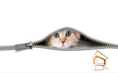 Натяжной потолок с фотопечатью Животный мир 010