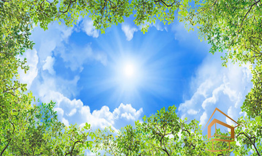 Натяжной потолок с фотопечатью Небо и объекты 020 - -