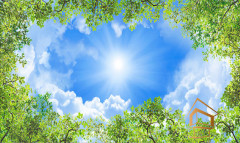 Натяжной потолок с фотопечатью Небо и объекты 020