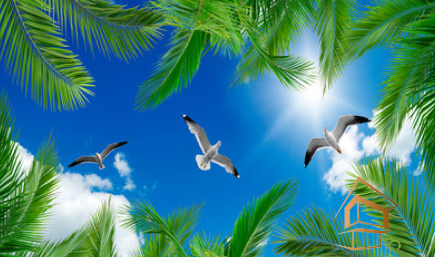 Натяжной потолок с фотопечатью Небо и объекты 038 - -