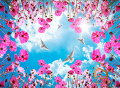 Натяжной потолок с фотопечатью Небо и объекты 138