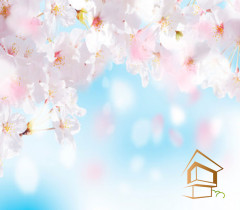 Натяжной потолок с фотопечатью Цветы 208