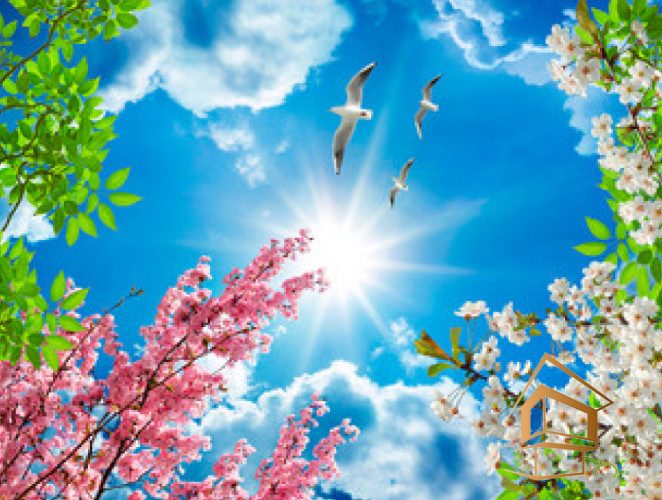 Натяжной потолок с фотопечатью Небо и объекты 039 - -