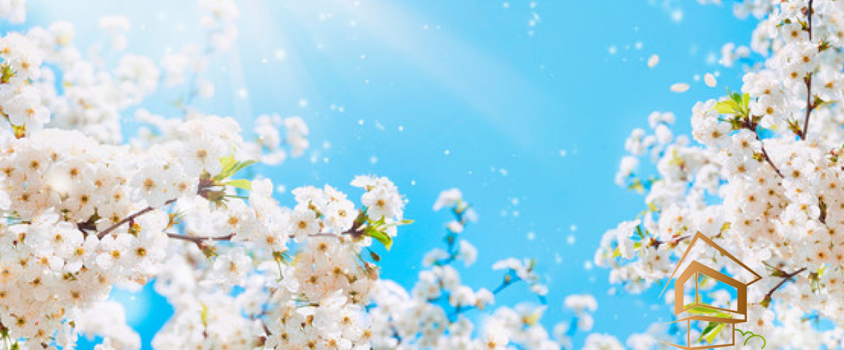 Натяжной потолок с фотопечатью Небо и объекты 139 - -