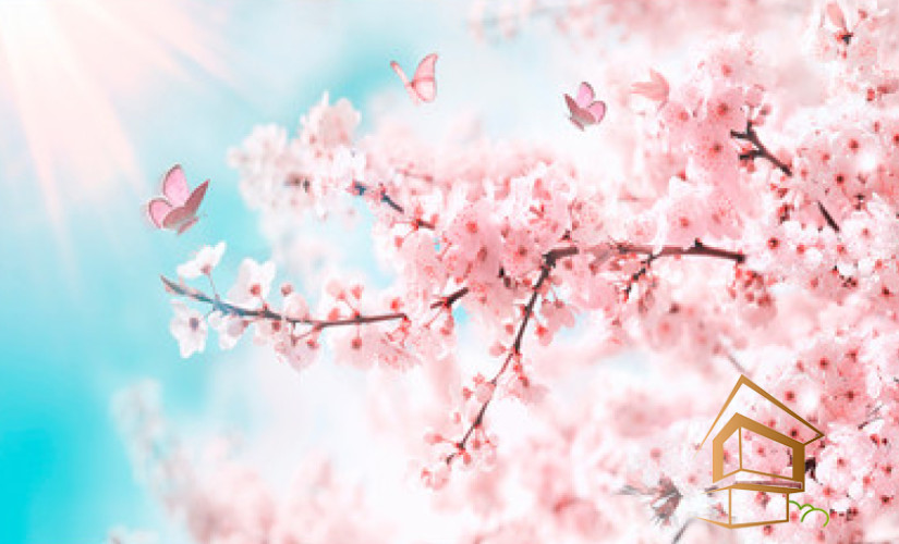 Натяжной потолок с фотопечатью Небо и объекты 140 - -