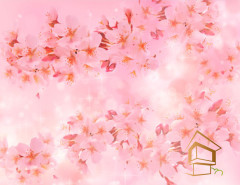 Натяжной потолок с фотопечатью Цветы 210