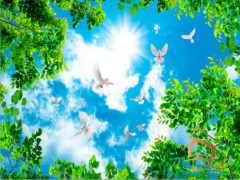 Натяжной потолок с фотопечатью Небо и объекты 041