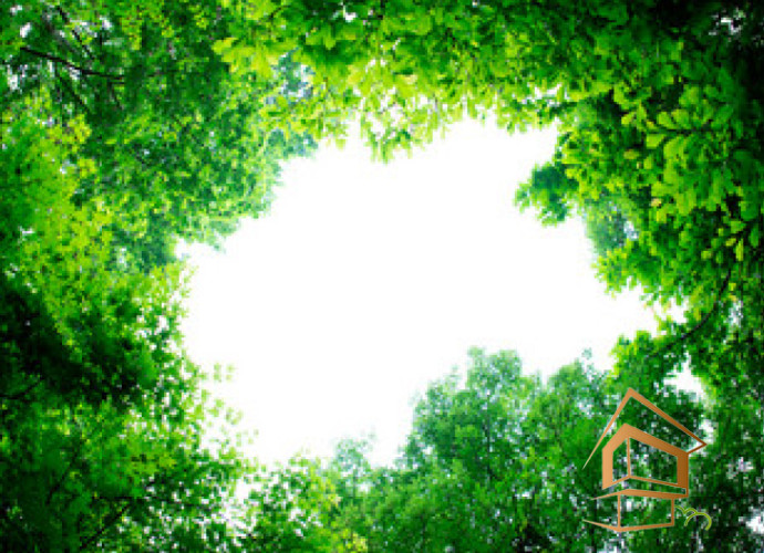 Натяжной потолок с фотопечатью Небо и объекты 141 - -