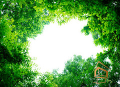 Натяжной потолок с фотопечатью Небо и объекты 141